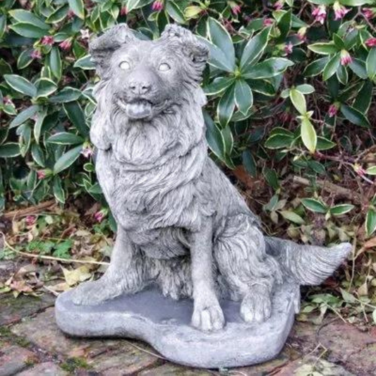 Collie Puppy Stone Garden Ornament Success