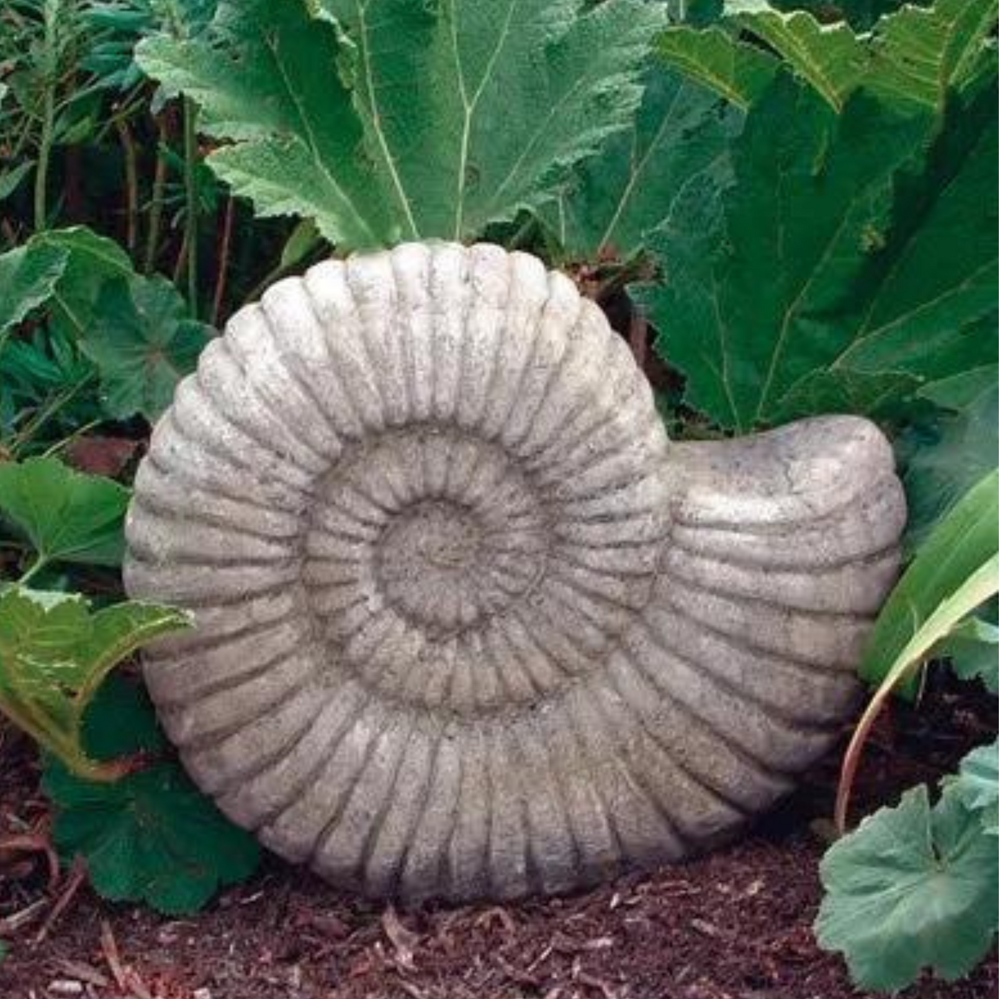 Grand Ammonite Fossil Stone Garden Ornament