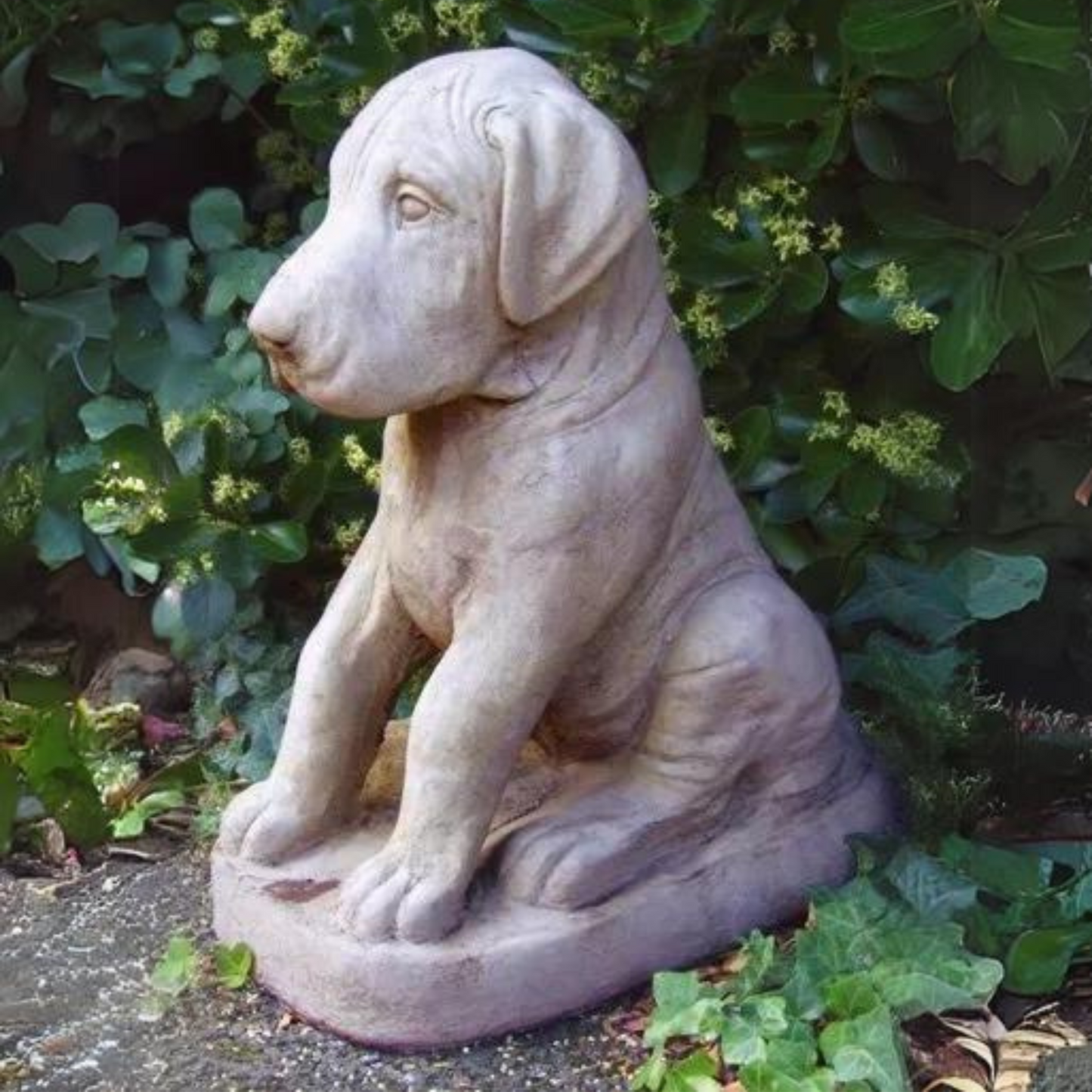 Great Dane Puppy Stone Garden Ornament