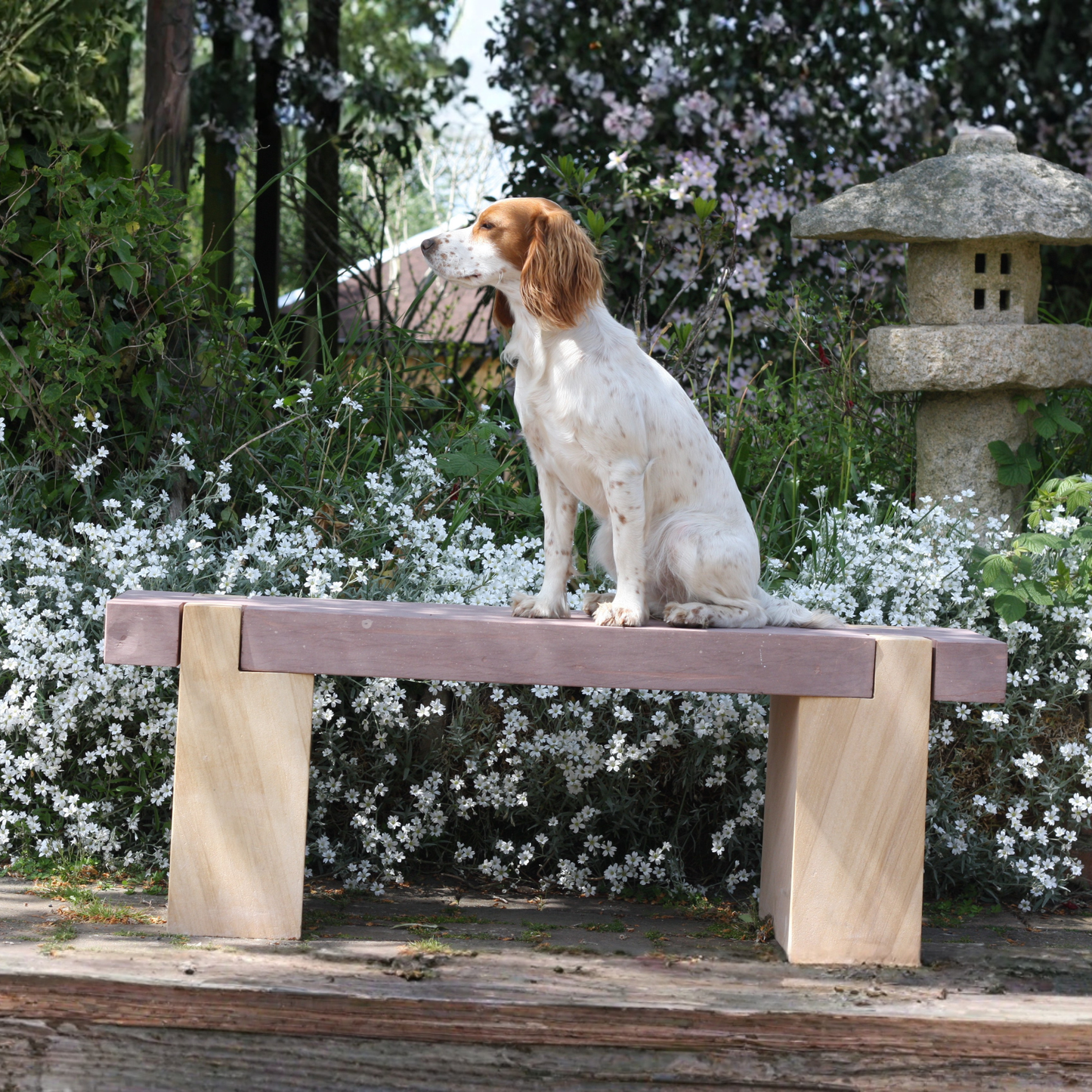 TeakwoodandSandstoneBench5067 2