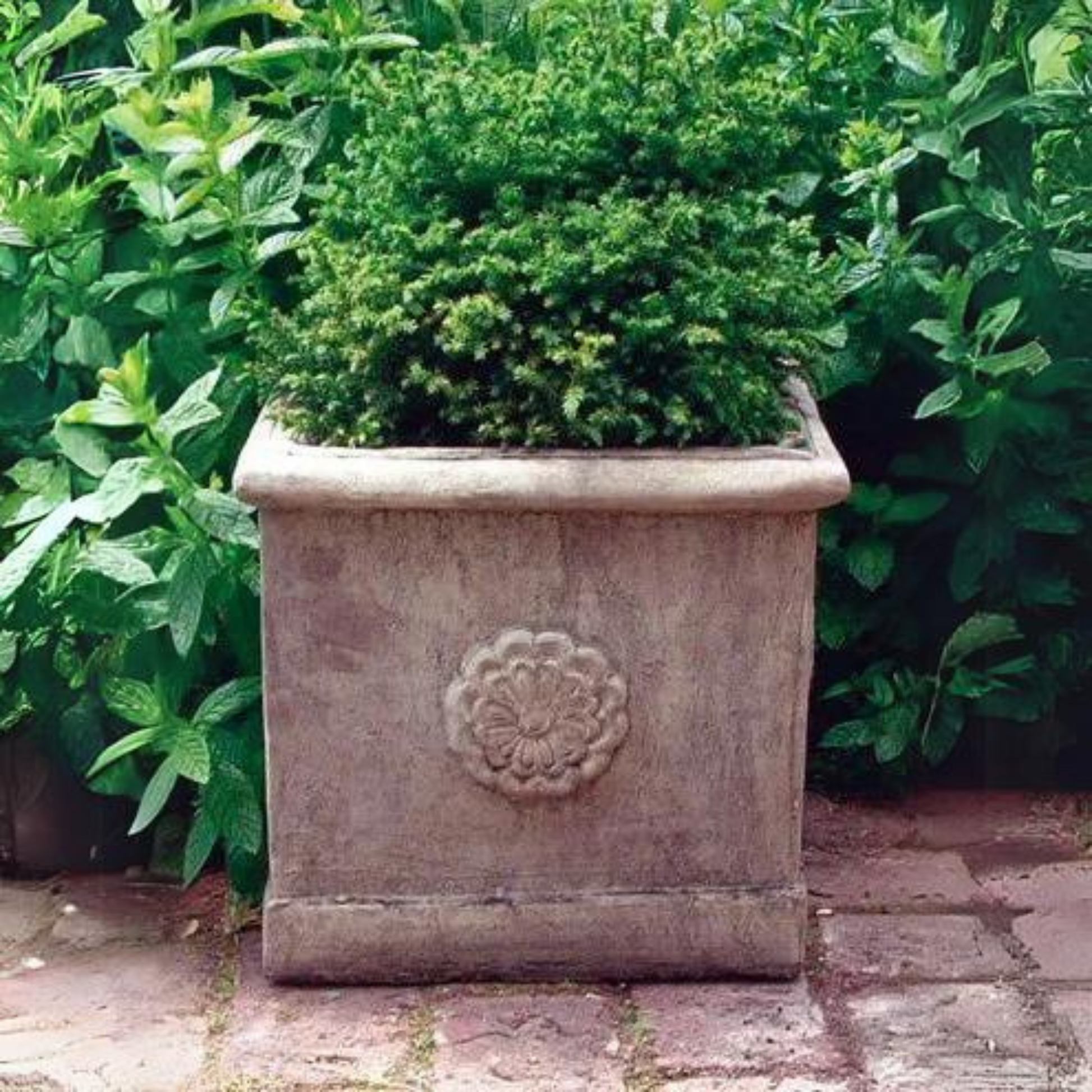 Square Vienna Vase Stone 10